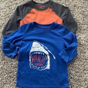 2 Toddler 12 month Long Sleeve Shirts